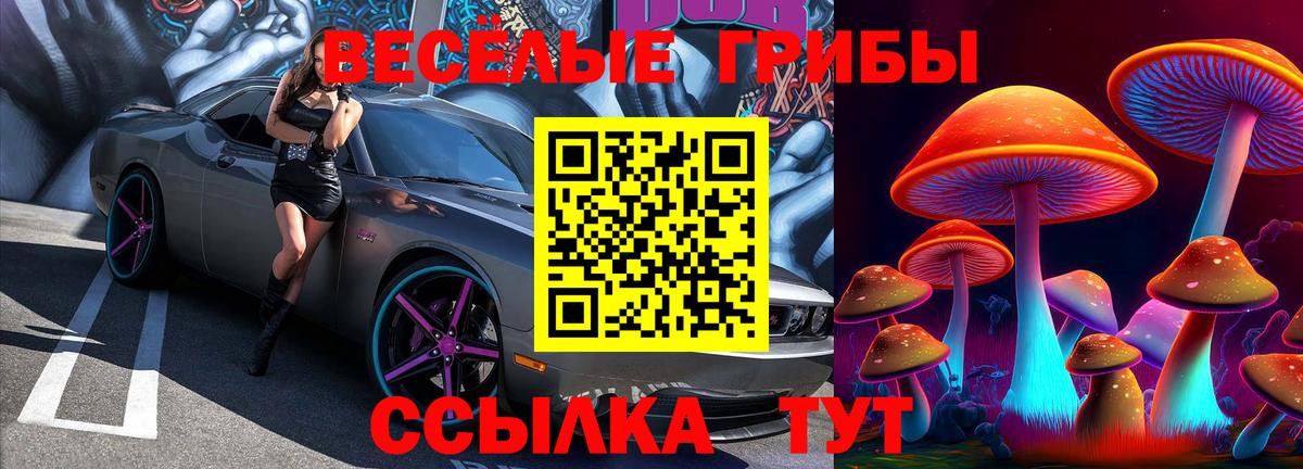 Галлюциногенные грибы мицелий  наркота  Пугачёв  Псилоцибиновые грибы Psilocybe  Вход с VPN 